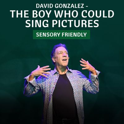 The Boy Who Could Sing Pictures