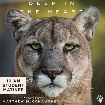 deep heart-student