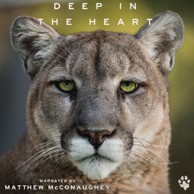 deep heart