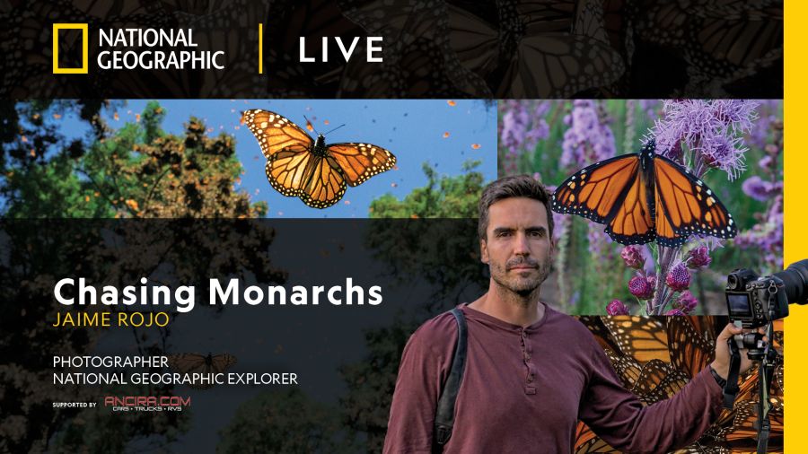 “Chasing Monarchs with Jaime Rojo”
