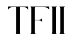 Texas Fashion Industry Initiative